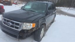 2011 FORD Escape Automatic 4WD SUV