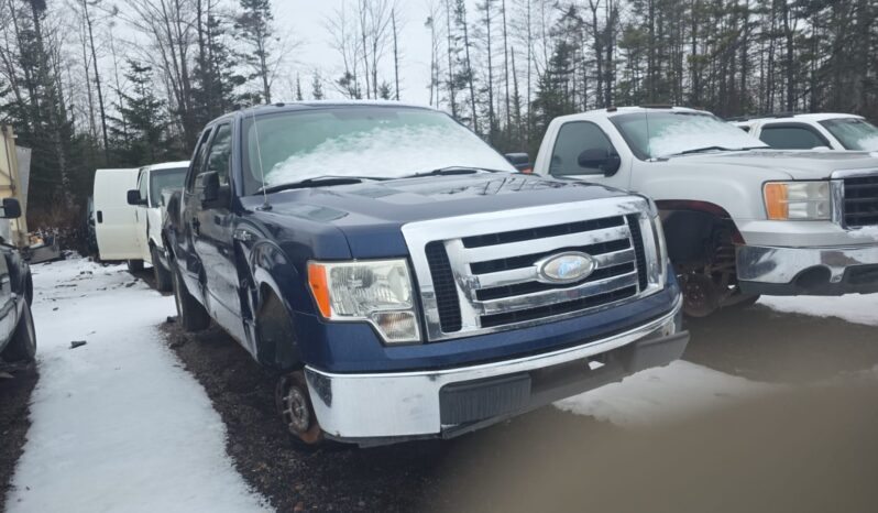 
								2009 Ford F-150 Automatic 4WD Pickup full									