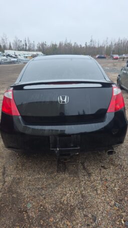 
										2009 Honda Accord Coupe Automatic FWD Coupe full									