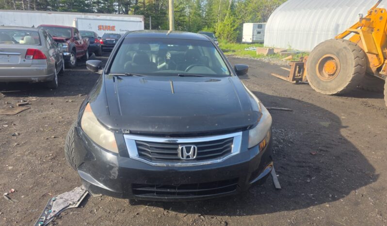 
								2010 Honda Accord Automatic FWD Sedan full									