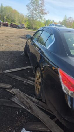 
										2010 Honda Accord Automatic FWD Sedan full									